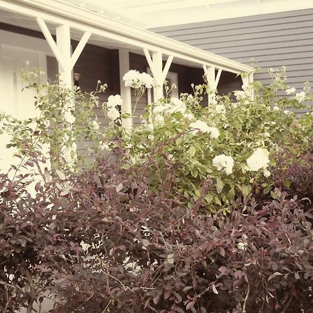 Apartment On St Georges Havelock North Buitenkant foto